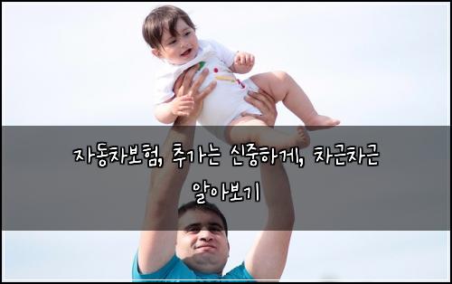  자동차보험, 추가는 신중하게, 차근차근 알아보기