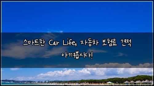  스마트한 Car Life, 자동차 보험료 견적 아껴봅시다!