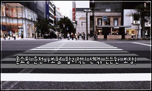 혼쇼핑 운전자보험: 합리적인 선택, 든든한 보장!