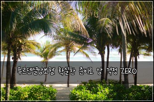 푸르덴셜암보험: 확실한 준비로 암 걱정 ZERO