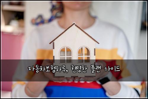 자동차보험하루, 현명한 플랜 가이드