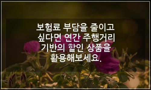 오늘의 이미지