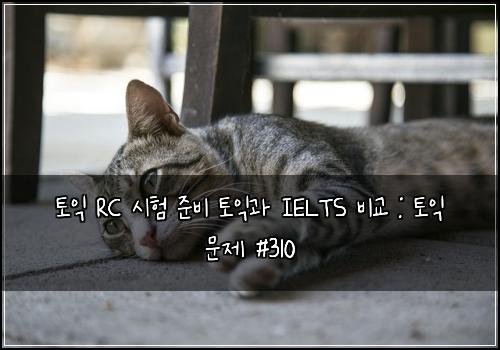 토익 RC 시험 준비 토익과 IELTS 비교 : 토익 문제 #310