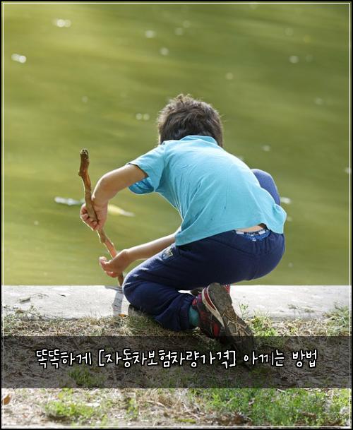  똑똑하게 [자동차보험차량가격] 아끼는 방법