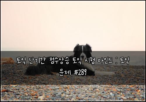 토익 단기간 점수상승 토익 시험 마인드 : 토익 문제 #289