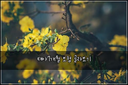 ํ์7๊ฐ์ ๋ณดํ ๊ณจ๋ผ๋ณด๊ธฐ