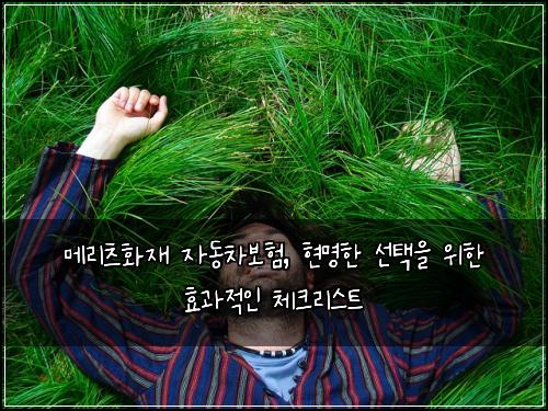 메리츠화재 자동차보험, 현명한 선택을 위한 효과적인 체크리스트