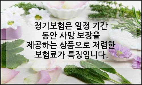 오늘의 이미지