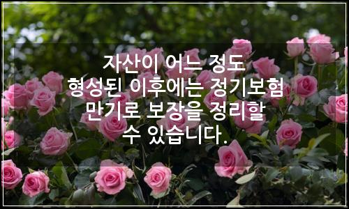 오늘의 이미지