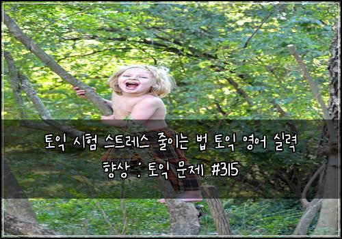 토익 시험 스트레스 줄이는 법 토익 영어 실력 향상 : 토익 문제 #315