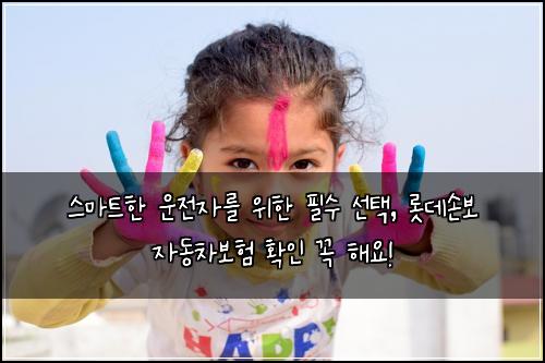  스마트한 운전자를 위한 필수 선택, 롯데손보 자동차보험 확인 꼭 해요!