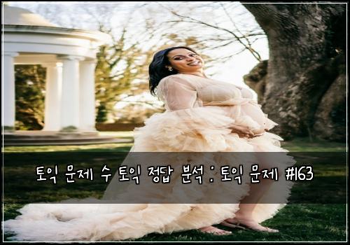 토익 문제 수 토익 정답 분석 : 토익 문제 #163