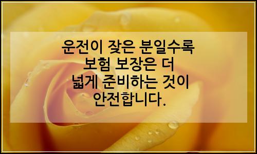 오늘의 이미지