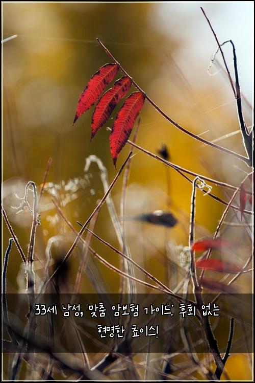 33세 남성, 맞춤 암보험 가이드: 후회 없는 현명한 쵸이스!