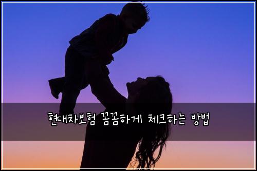 현대차보험 꼼꼼하게 체크하는 방법