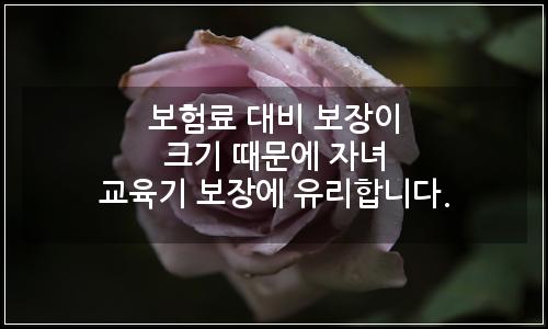 오늘의 이미지