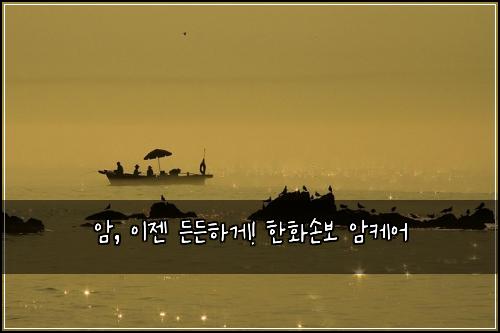  암, 이젠 든든하게! 한화손보 암케어