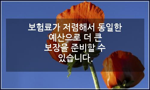 오늘의 이미지