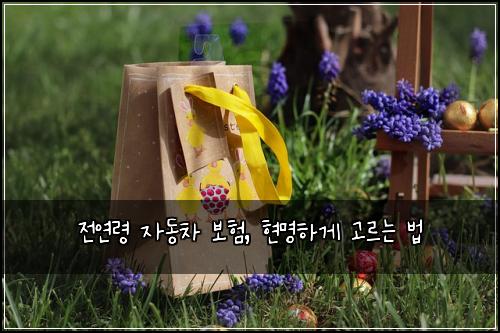 전연령 자동차 보험, 현명하게 고르는 법