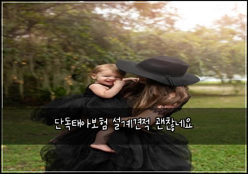 단독태아보험 설계견적  괜찮네요