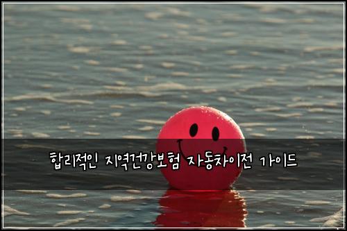  합리적인 지역건강보험 자동차이전 가이드