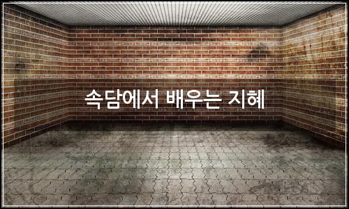 오늘의 이미지