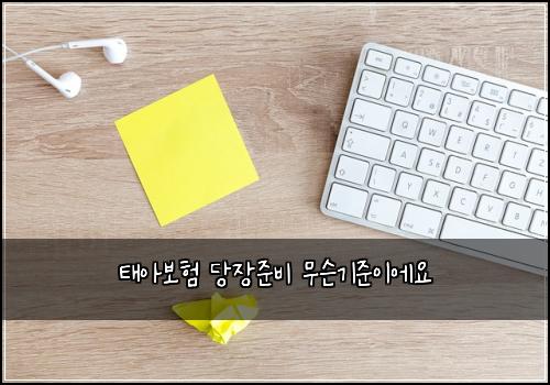 태아보험 당장준비  무슨기준이에요