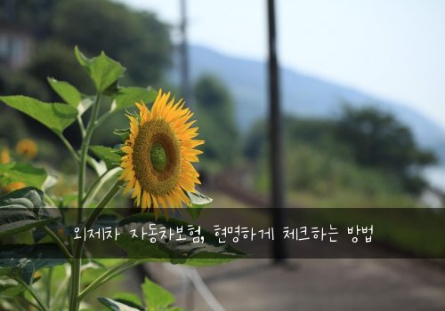 외제차 자동차보험, 현명하게 체크하는 방법