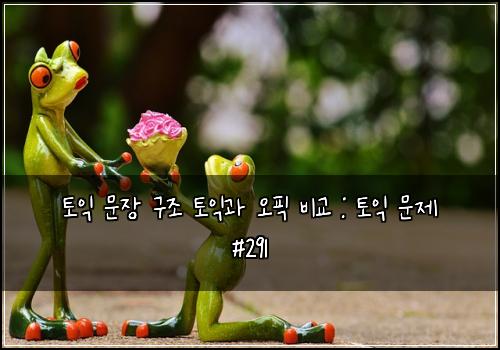 토익 문장 구조 토익과 오픽 비교 : 토익 문제 #291