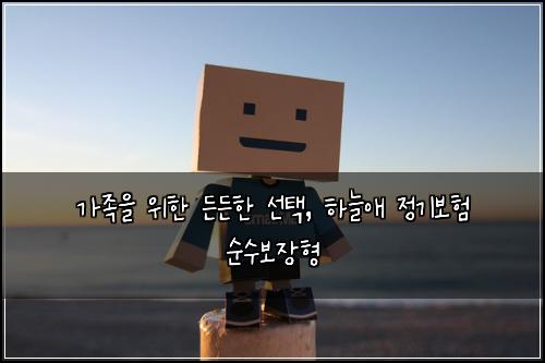  가족을 위한 든든한 선택, 하늘애 정기보험 순수보장형