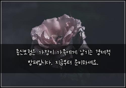 종신보험은 가장이 가족에게 남기는 경제적 방패입니다. 지금부터 준비하세요.