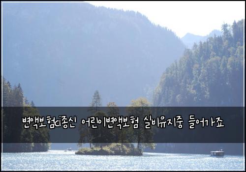 변액보험ci종신 어린이변액보험 실비유지중 들어가죠