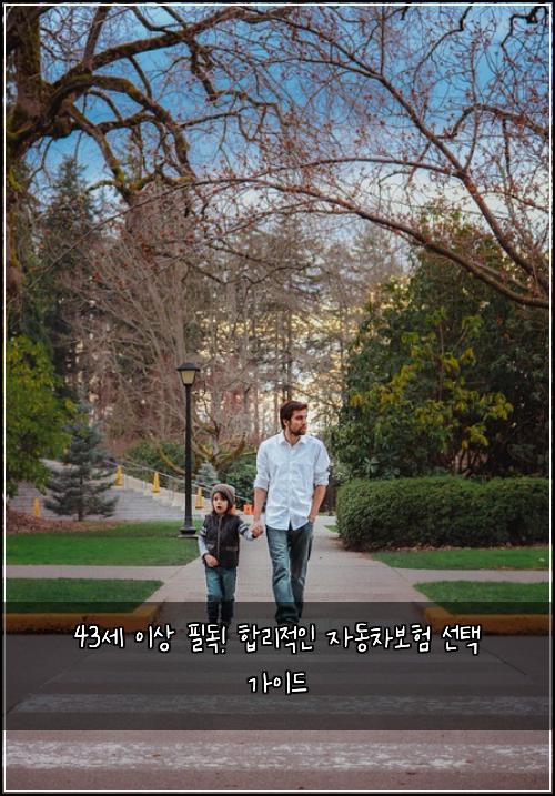  43세 이상 필독! 합리적인 자동차보험 선택 가이드