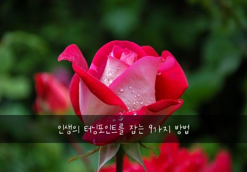 인생의 터닝포인트를 잡는 9가지 방법