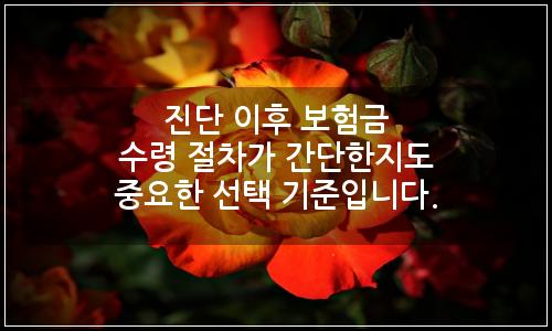 오늘의 이미지