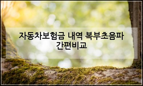 오늘의 이미지