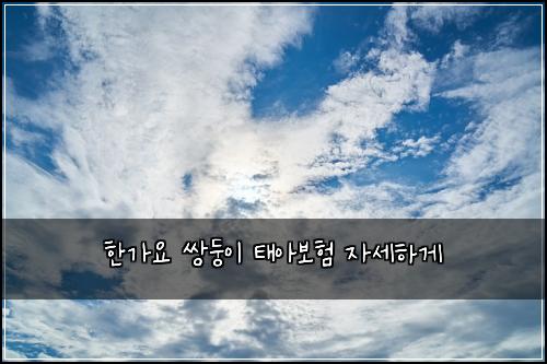 한가요 쌍둥이 태아보험 자세하게 