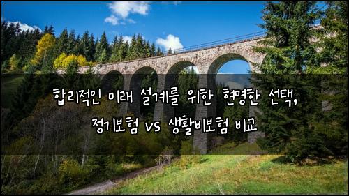  합리적인 미래 설계를 위한 현명한 선택, 정기보험 vs 생활비보험 비교