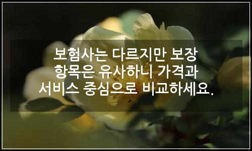 오늘의 이미지