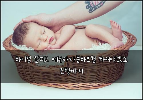 μ°¨μ΄μ μ΄νΌκ³ μλμΉ΄μλ차보ν νμ
μΌκ² μ£ μ§νκΉμ§