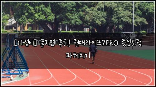  [가성비] 놓치면 후회! 현대라이프ZERO 종신보험 파헤치기