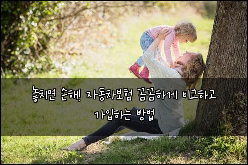  놓치면 손해! 자동차보험 꼼꼼하게 비교하고 가입하는 방법
