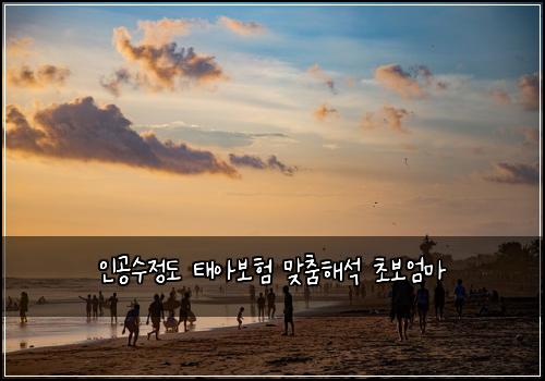 ์ธ๊ณต์์ ๋ ํ์๋ณดํ ๋ง์ถคํด์ ์ด๋ณด์๋ง