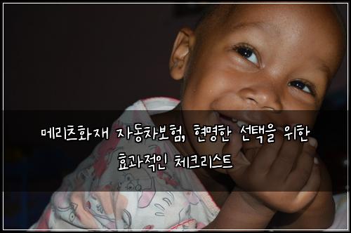 메리츠화재 자동차보험, 현명한 선택을 위한 효과적인 체크리스트