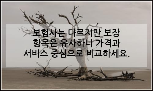 오늘의 이미지