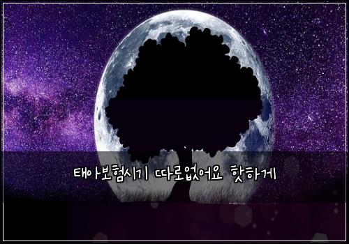 태아보험시기 따로없어요 핫하게