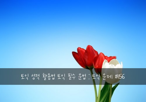 토익 성적 활용법 토익 필수 문법 : 토익 문제 #156
