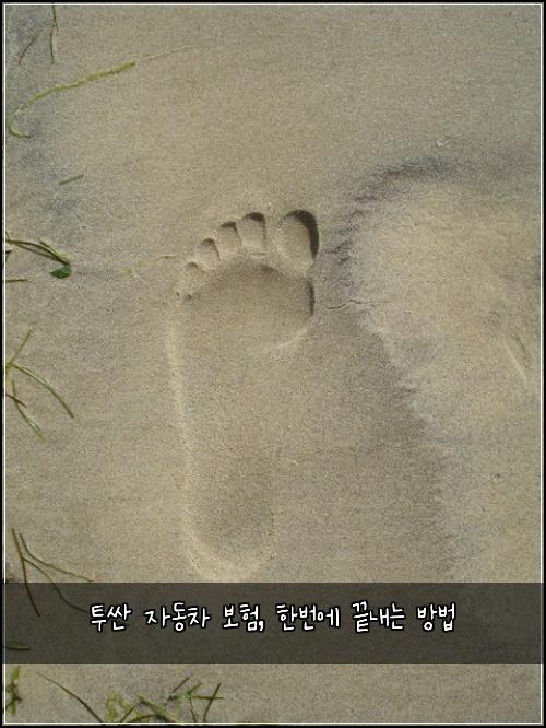 투싼 자동차 보험, 한번에 끝내는 방법