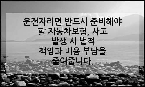 오늘의 이미지