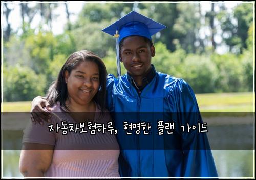  자동차보험하루, 현명한 플랜 가이드